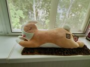 Фото из отзыва пользователя