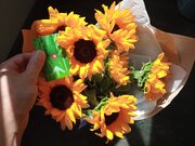 Фото из отзыва пользователя