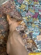 Фото из отзыва пользователя