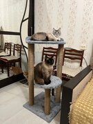 Фото из отзыва пользователя