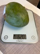 Фото из отзыва пользователя