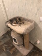 Фото из отзыва пользователя