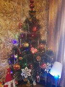 Фото из отзыва пользователя