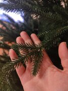 Фото из отзыва пользователя