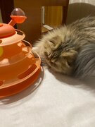 Фото из отзыва пользователя