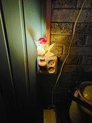 Фото из отзыва пользователя