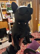 Фото из отзыва пользователя