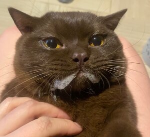 Фото из отзыва пользователя