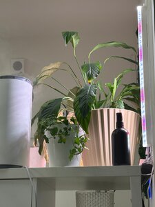 Фото из отзыва пользователя