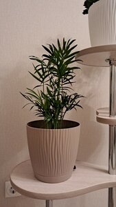 Фото из отзыва пользователя