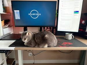 Фото из отзыва пользователя
