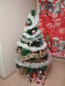 Фото из отзыва пользователя
