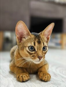 Фото из отзыва пользователя