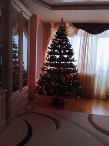 Фото из отзыва пользователя