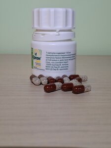 Фото из отзыва пользователя
