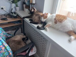 Фото из отзыва пользователя