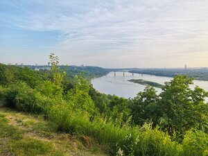 Фото из отзыва пользователя