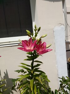 Фото из отзыва пользователя