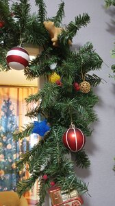 Фото из отзыва пользователя