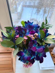 Фото из отзыва пользователя