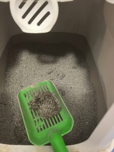 Фото из отзыва пользователя