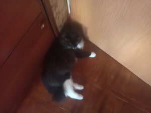 Фото из отзыва пользователя