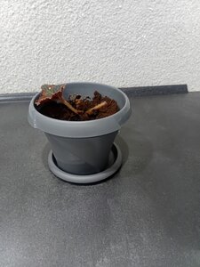 Фото из отзыва пользователя