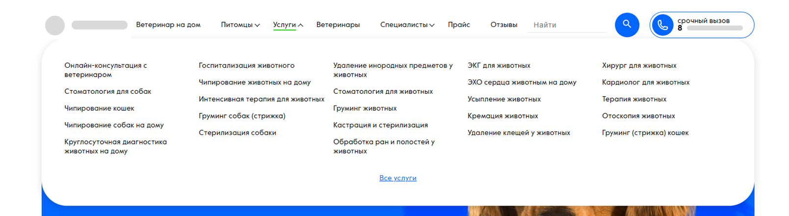 Услуги ветклиники