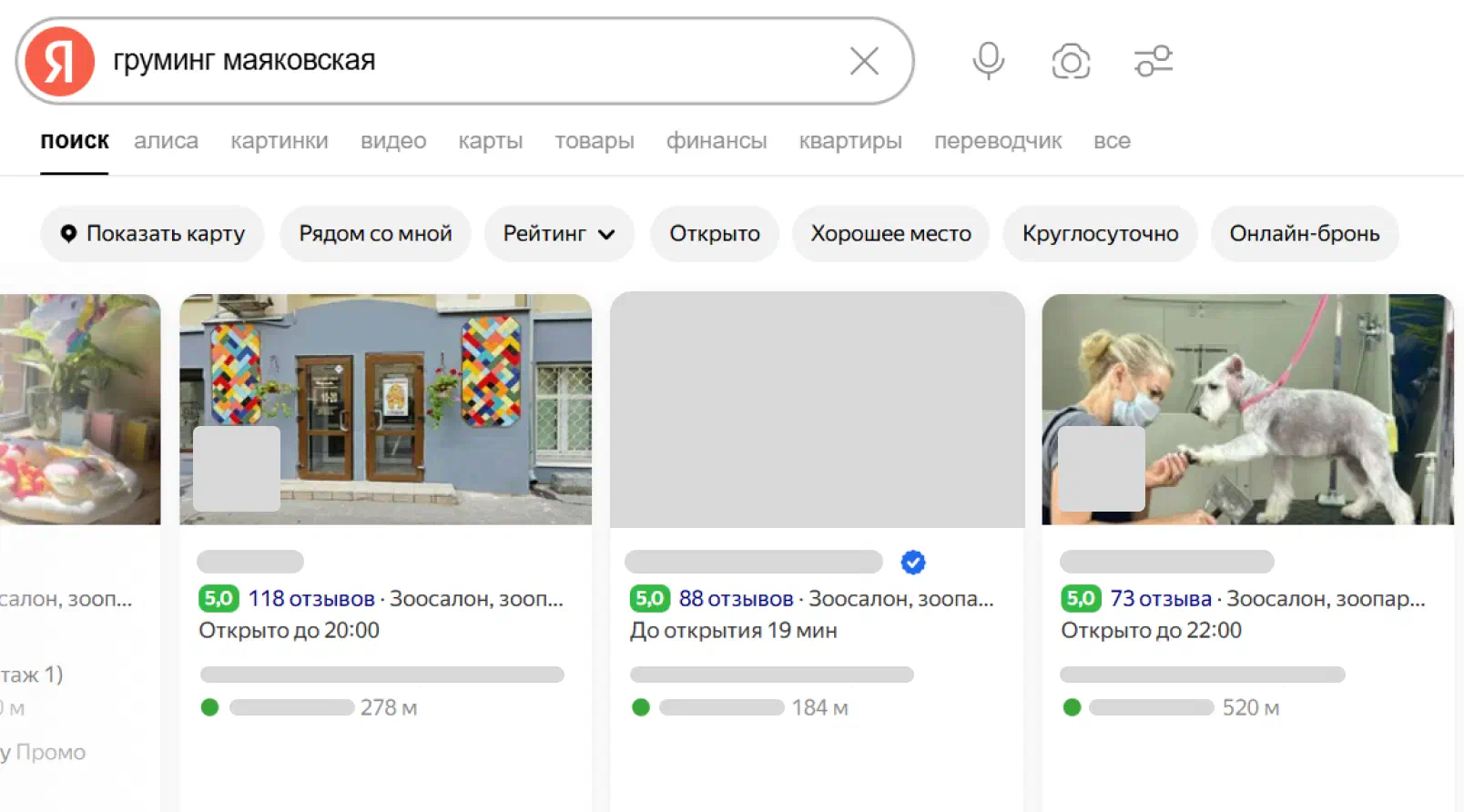 Результаты поиска услуг груминга
