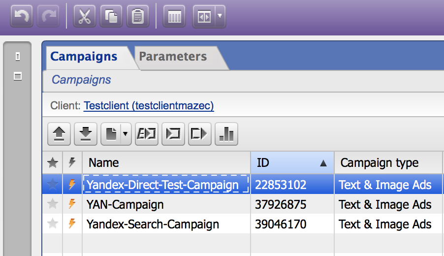 Look at the screenshot below. What does it mean if a lightning bolt appears next to your campaign?