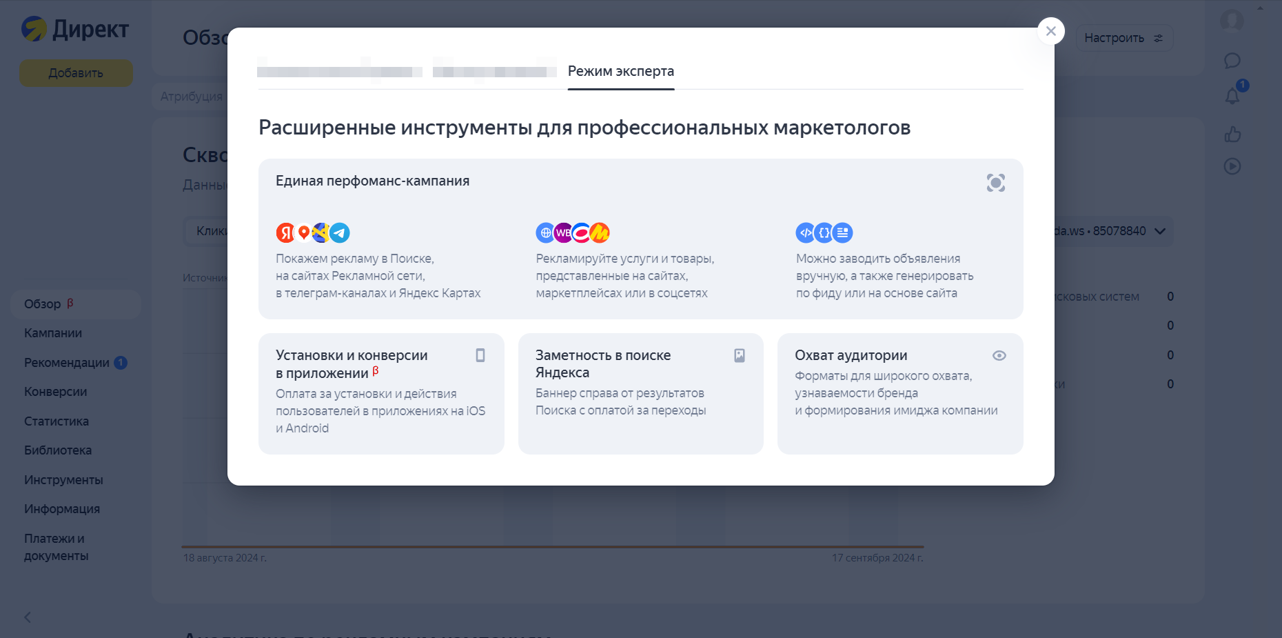 Режим эксперта в Директе