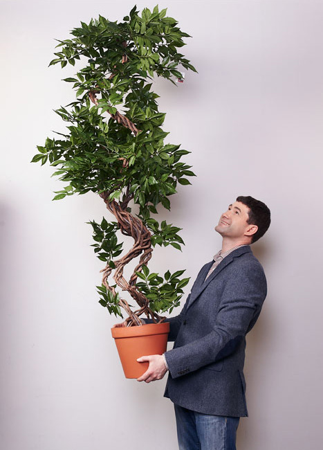 История успеха: Hoff — Решения Яндекса