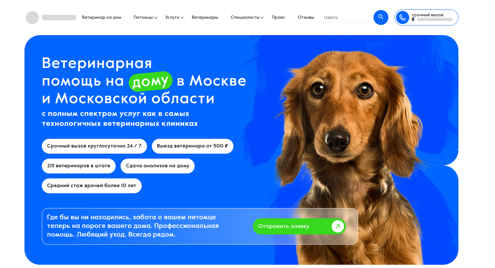 Сайт ветеринарной клиники