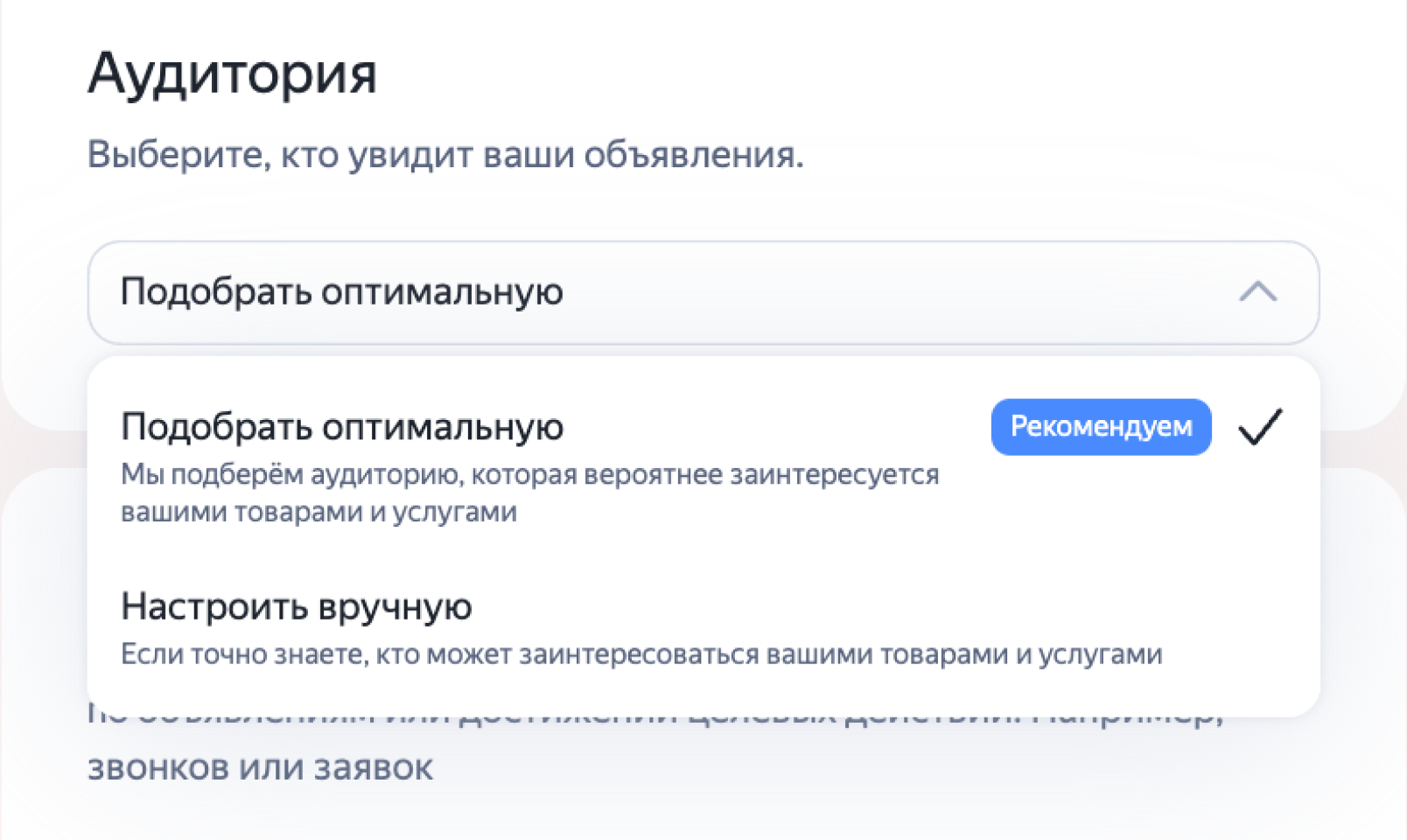 Настройки аудитории в Директе