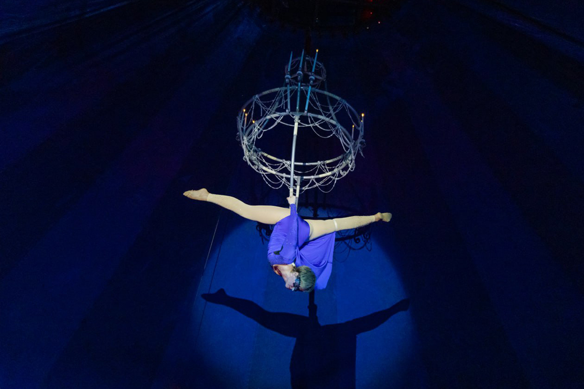 

Билеты на Новогоднее шоу (Цирк-шапито «София»)