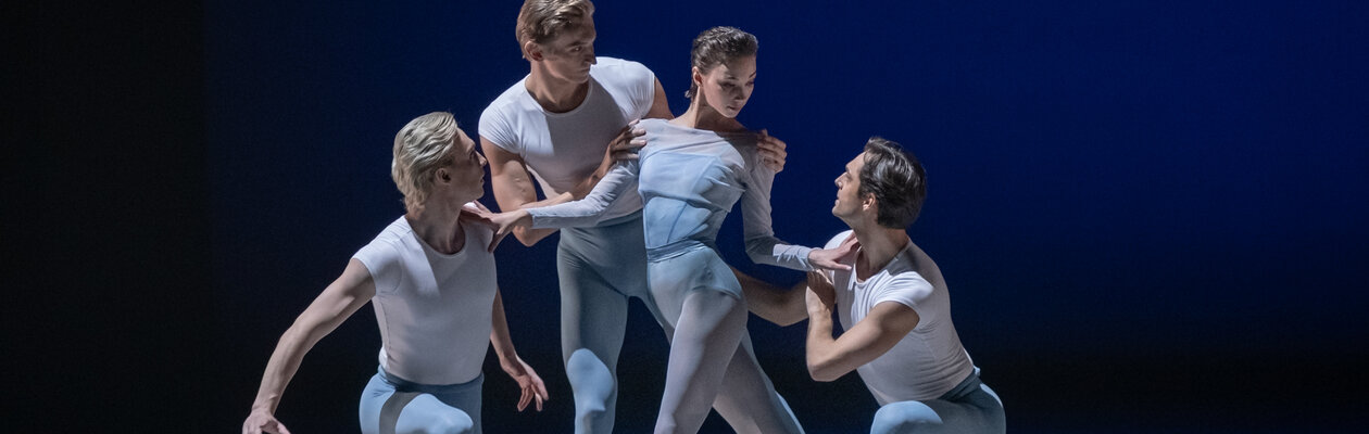 Отражения. Королевы вариаций