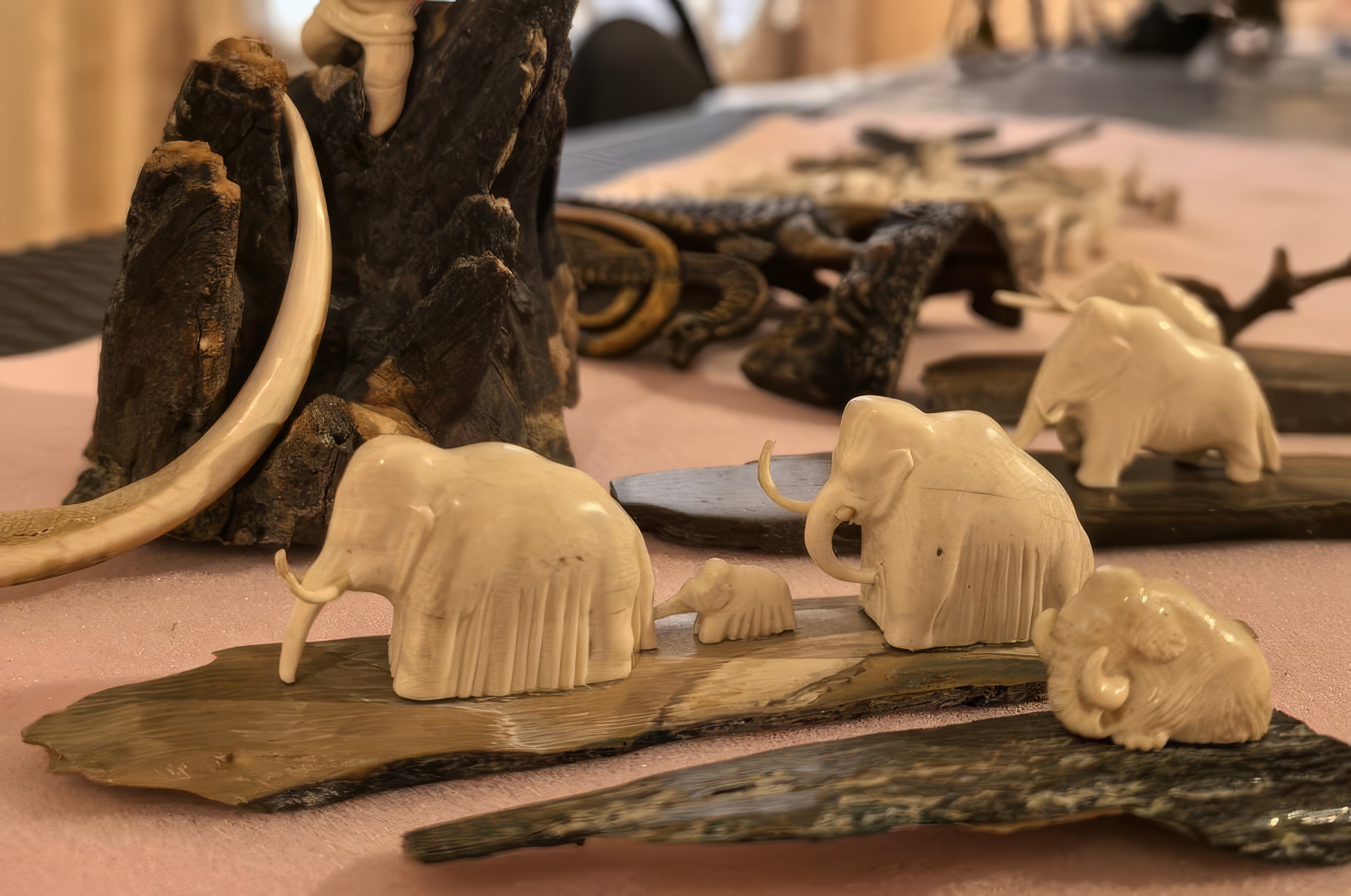 

Билеты на 40000 лет и зим. Долгий сон мамонтенка Любы (Краеведческий музей им. Шатилова)