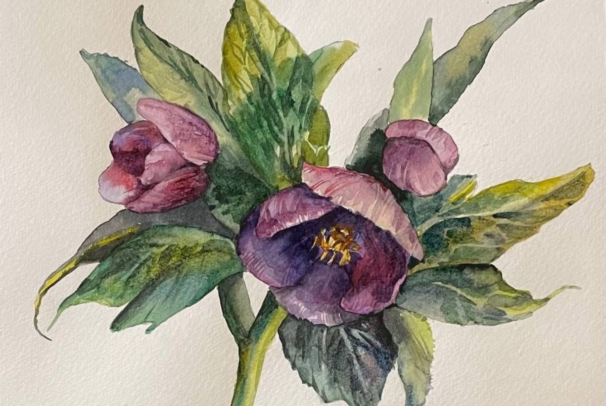 

Билеты на Акварельная ботаника (Cabinet Abstract)