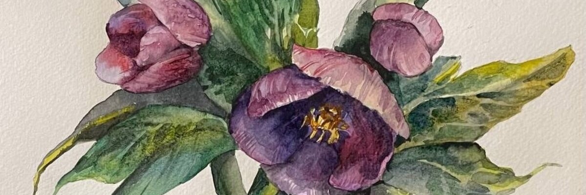 Акварельная ботаника