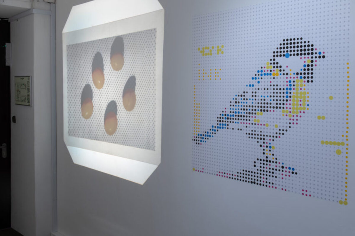 

Билеты на Изобретая цвет (Росфото)