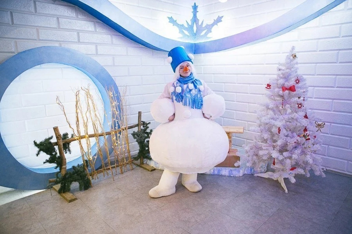 

Билеты на День рождения Снеговика (Ньютон Club)