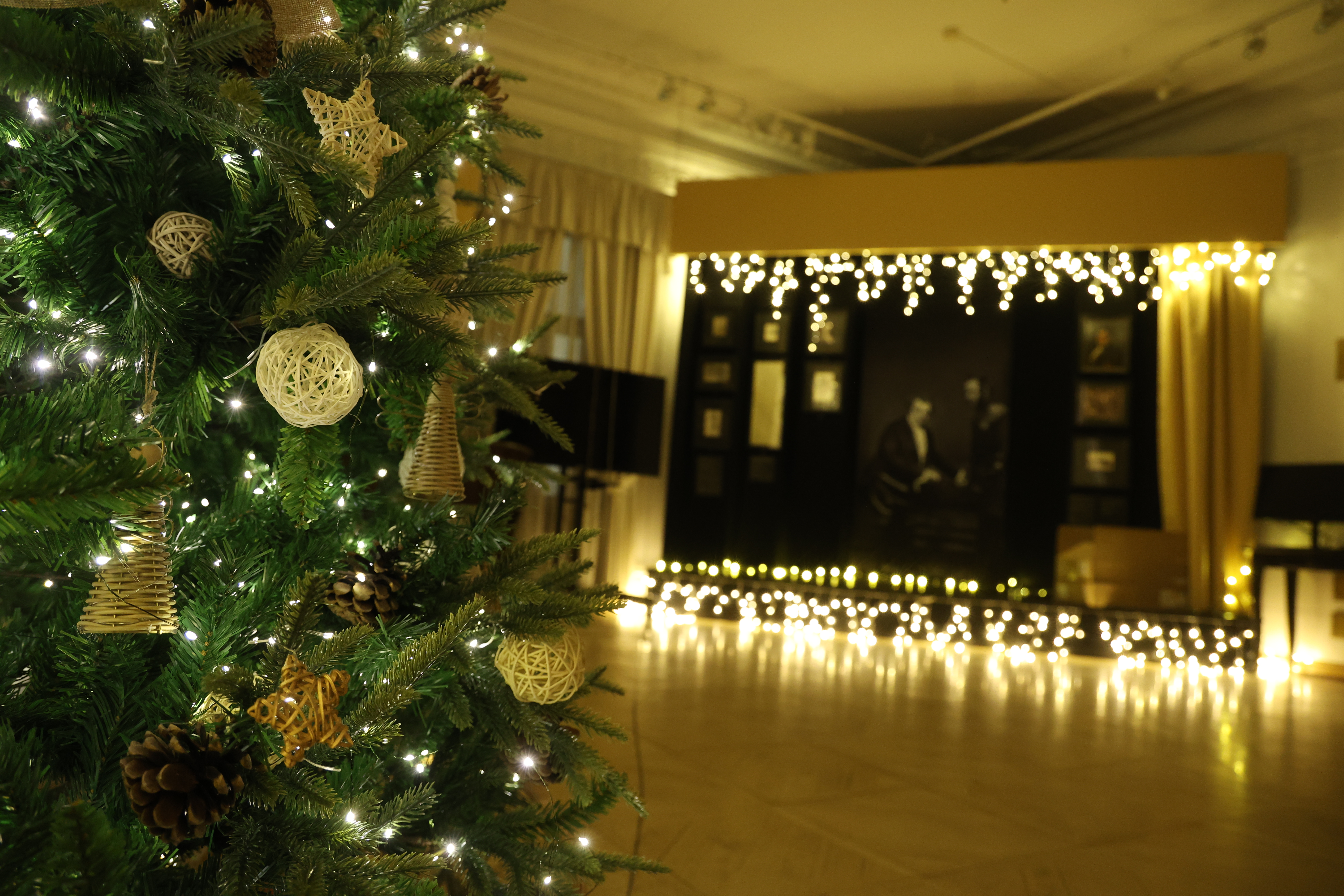 

Билеты на Рождественский детектив. Потерянная рукопись (Дом-музей Щепкина)