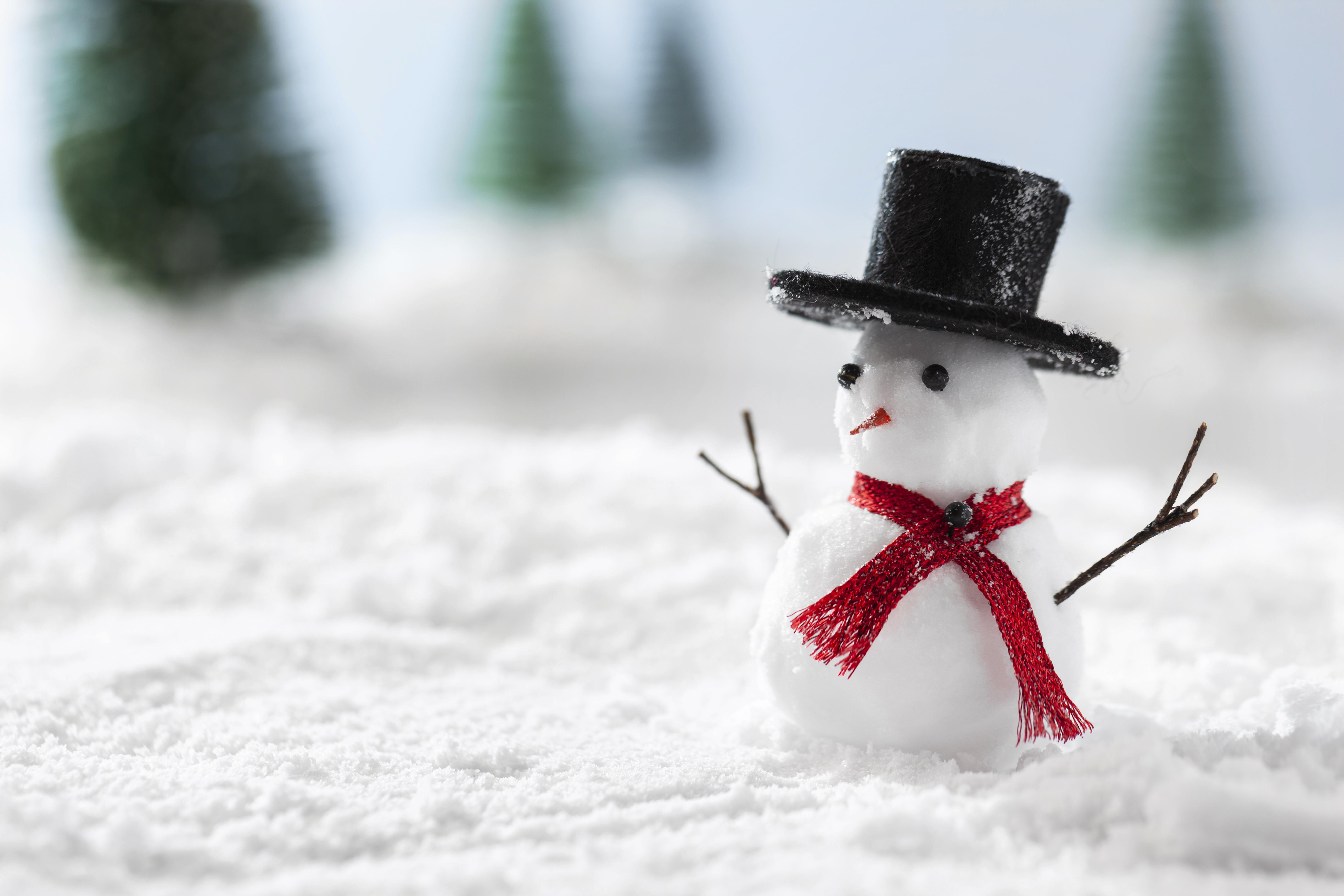 

Билеты на Топ, хлоп и волшебная фабрика Деда Мороза (Детству-Да!)