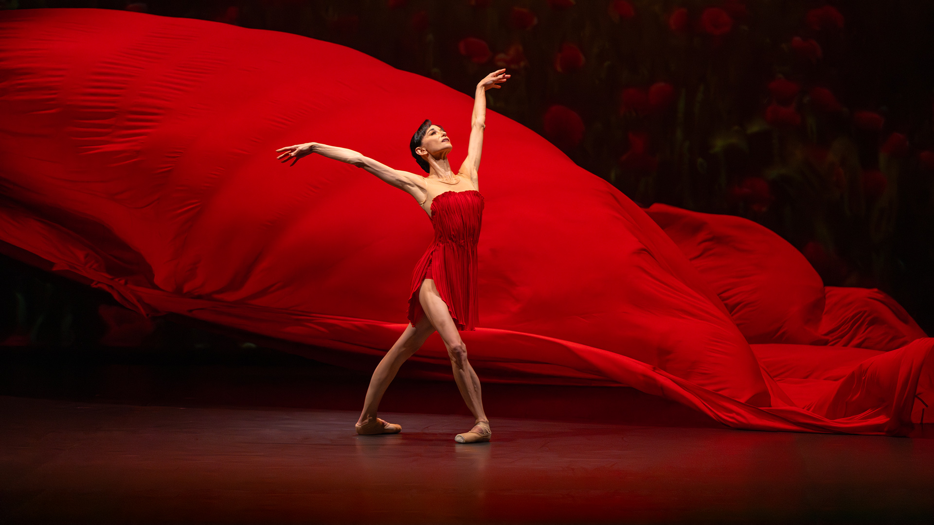 

Билеты на Lucia Lacarra (Almaty Theatre)