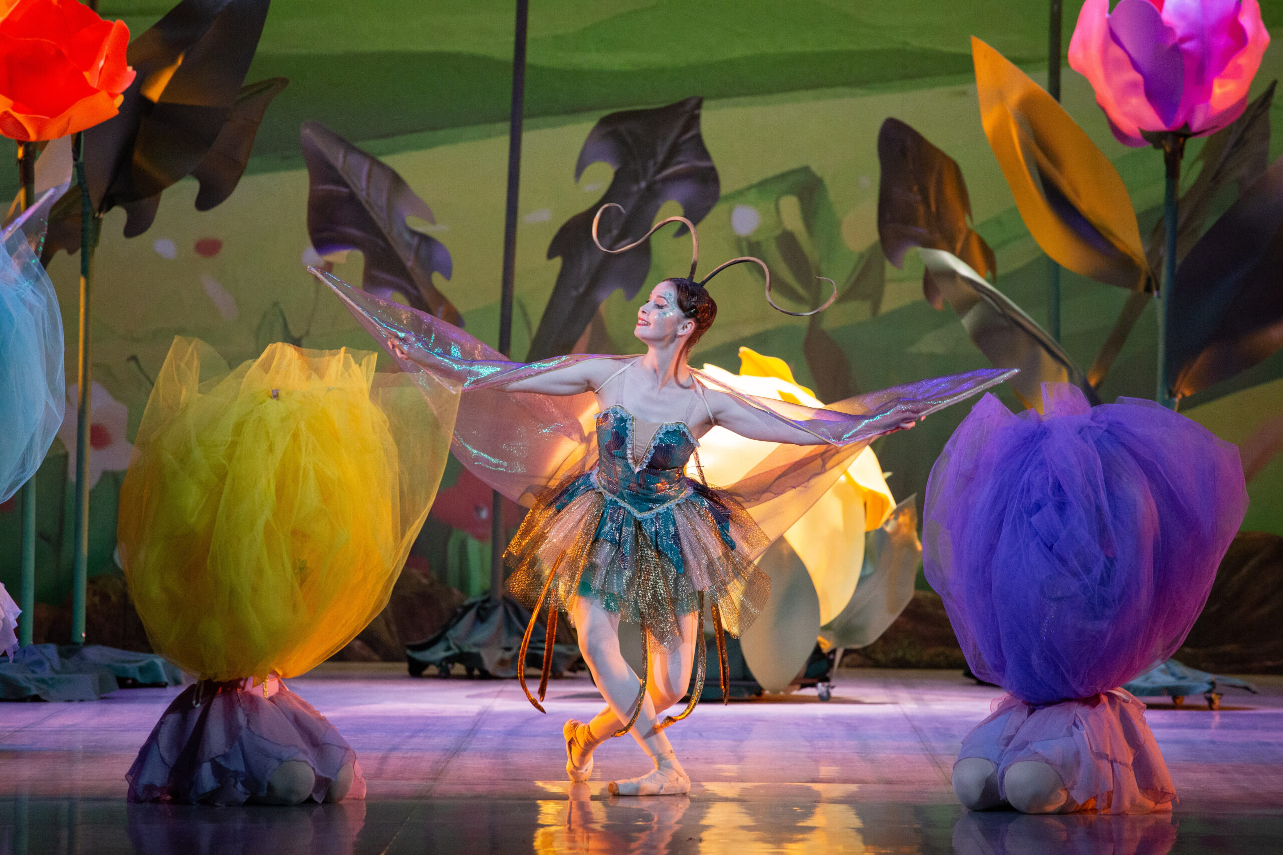 

Билеты на Дюймовочка (Театр оперы и балета им. Цыдынжапова)