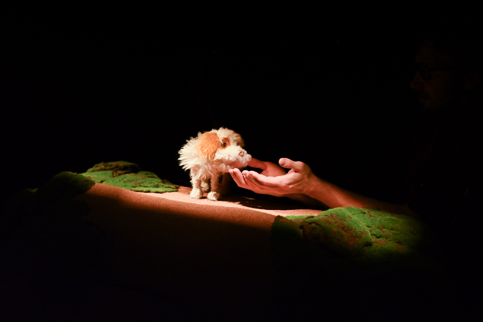 

Билеты на Умная собачка Соня (Karlsson Haus на Фонтанке)