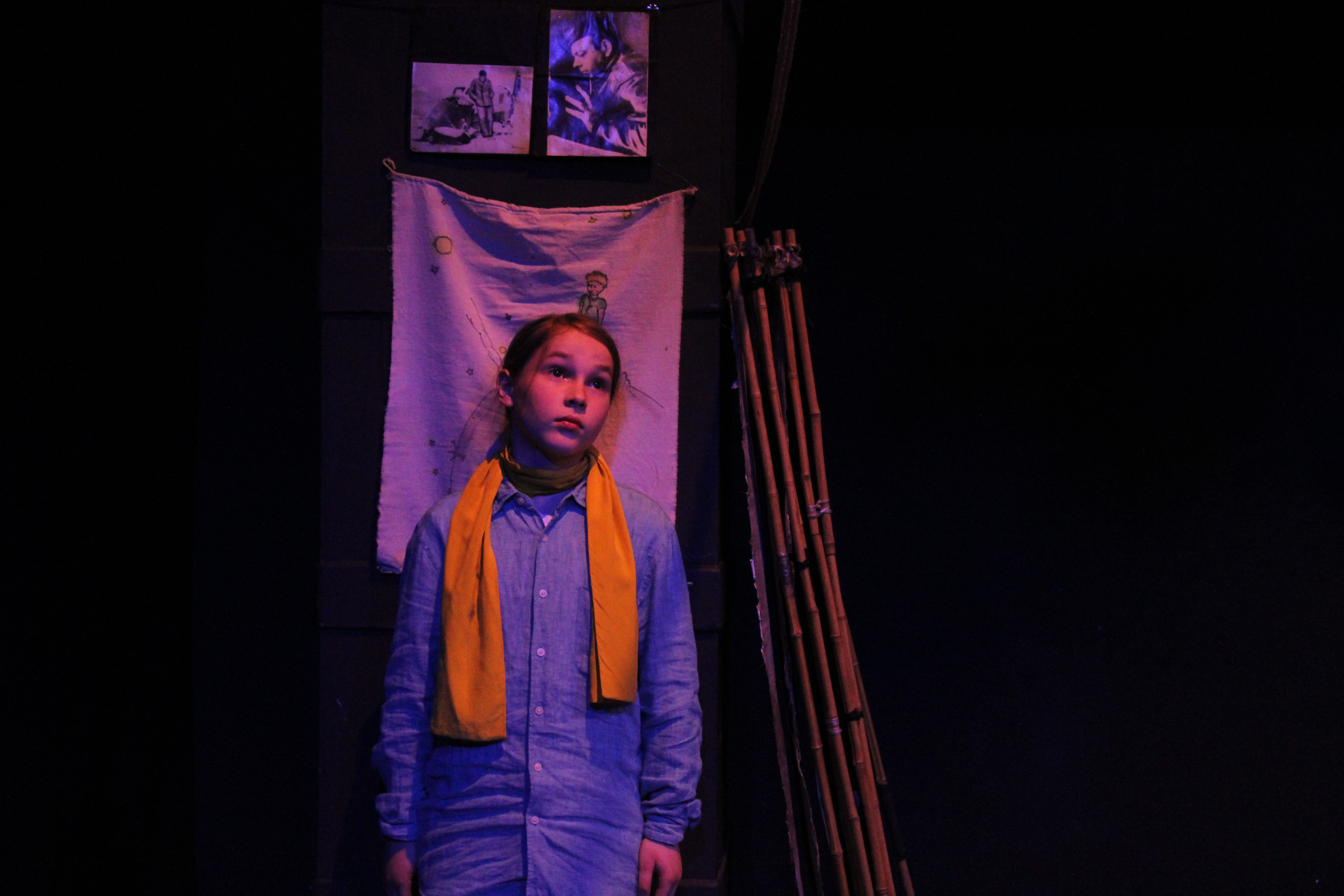 

Билеты на Маленький принц (Театр на набережной. Новая сцена)