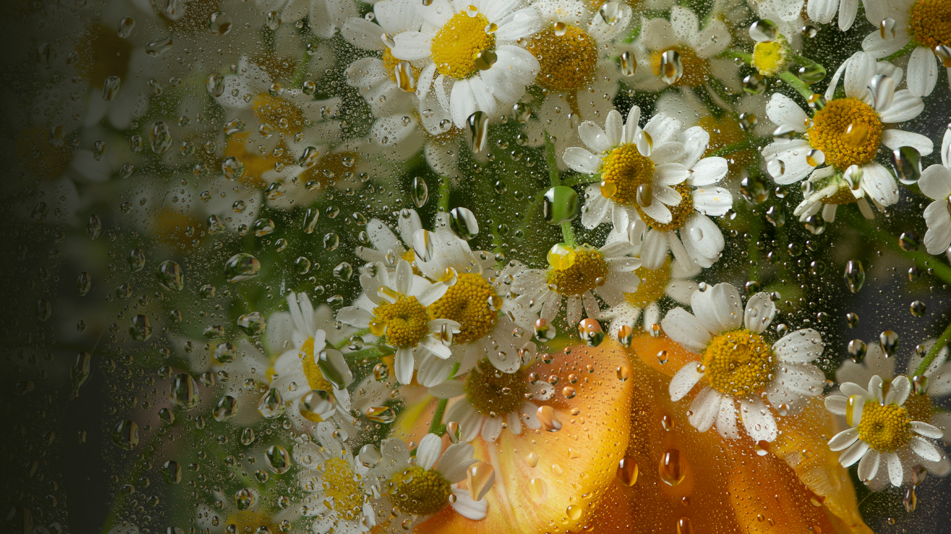 

Билеты на Оркестр «Модерн». Рихтер & Эйнауди: оркестровые эскизы (ДКЖ)