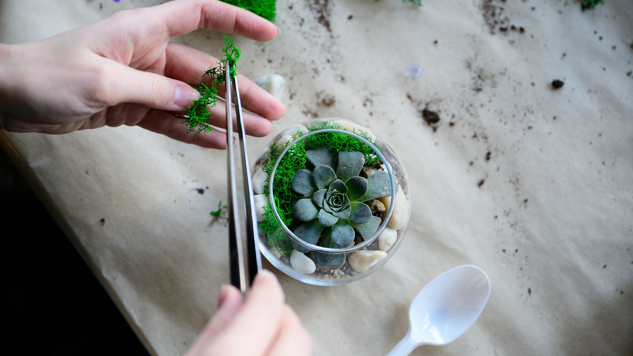 

Билеты на Создание флорариума (Музей станка)