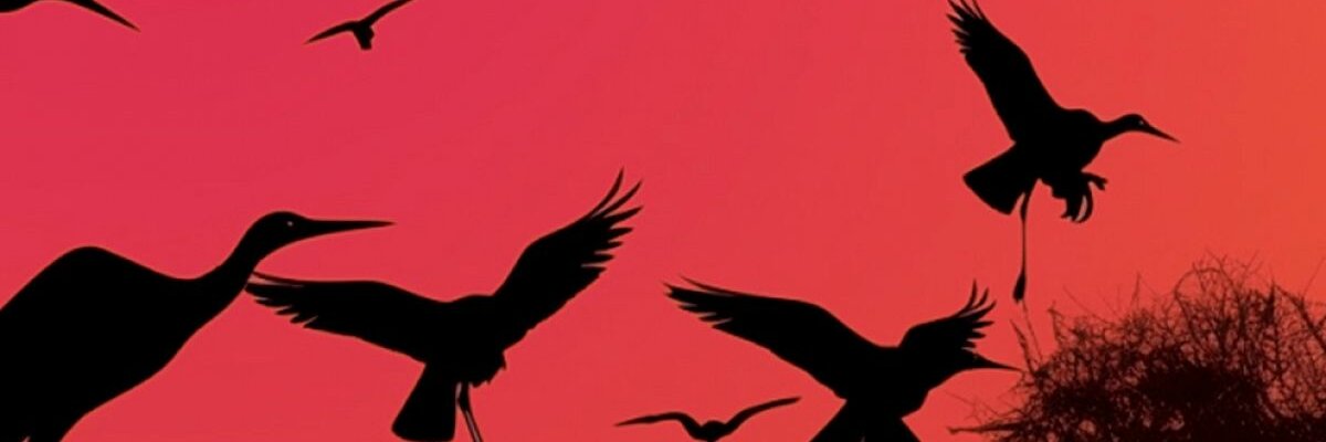 Проект Ностальгия. Шедевры Джо Дассена, Демиса Руссоса, Шарля Азнавура